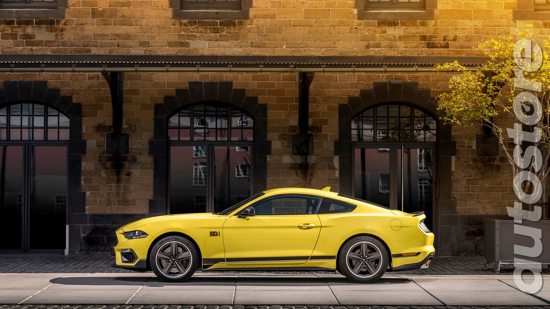 AutoStore Ford Mustang - 11